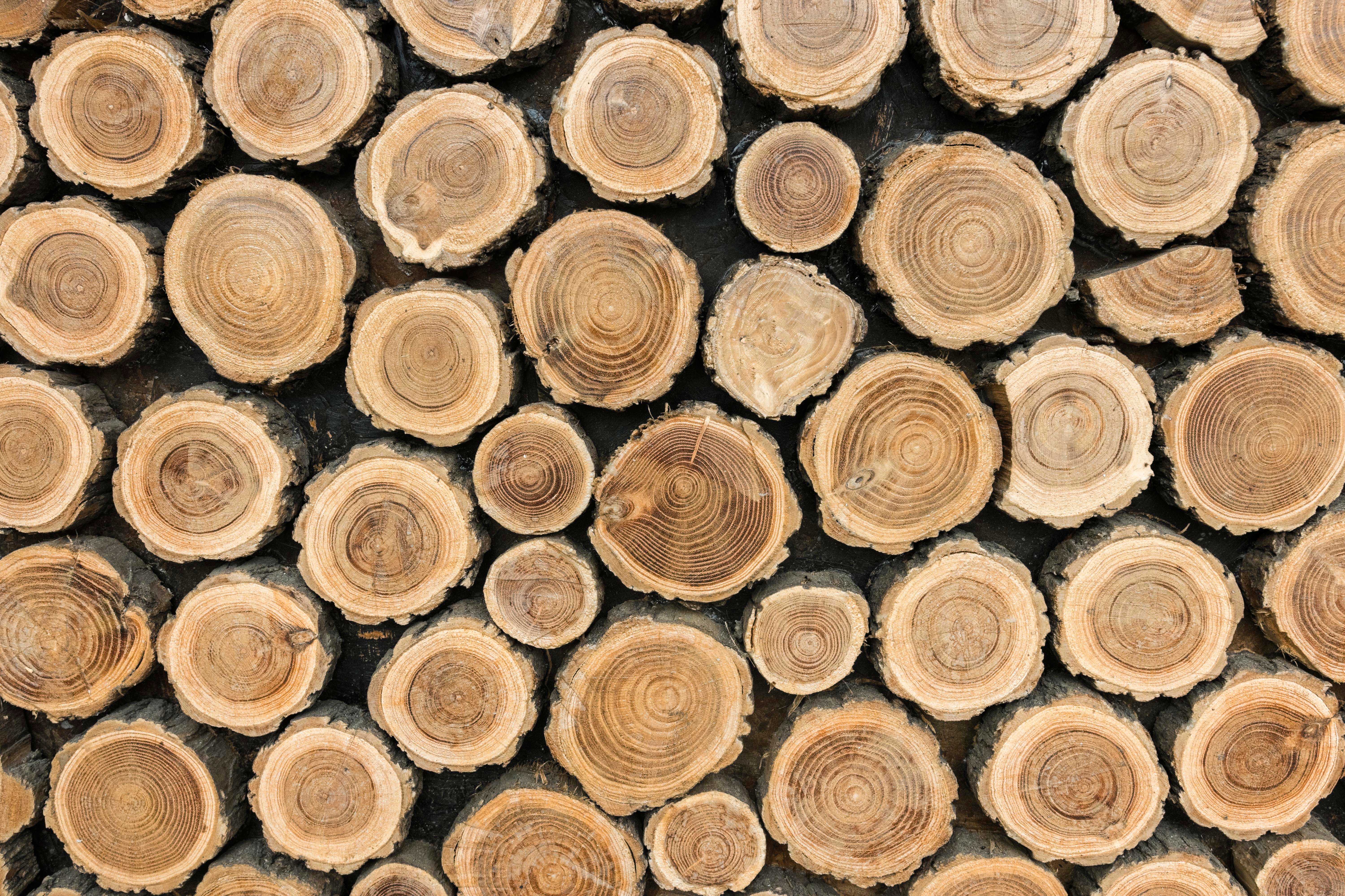 Sustainably Sourced. Perfectly Crafted.